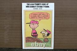 1968 PEANUTS GANG HANG-UP #5 Chicago Tribune CHARLIE BROWN & SNOOPY Poster Promo
