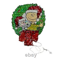 2005 Peanuts Lighted Yard Decor Snoopy and Charlie Brown In Wreath In Box