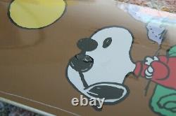 Appleyard ELEMENT x PEANUTS SKATEBOARD DECK Charlie Brown Snoopy Skate Wall Art