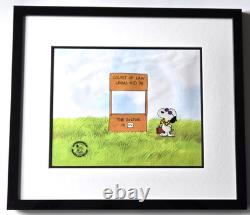 Authentic 1974 Peanuts Production Cel Snoopy It's a Mystery, Charlie Brown