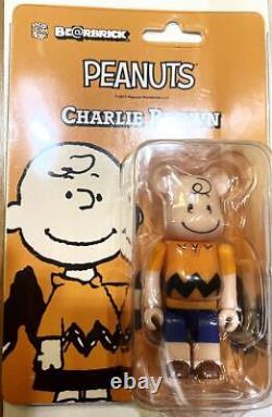 Bear Brick Snoopy Charlie Brown 100 Peanut