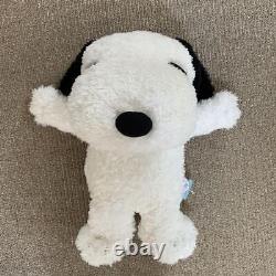 Big Size Stuffed Toy Snoopy Charlie Brown F/S