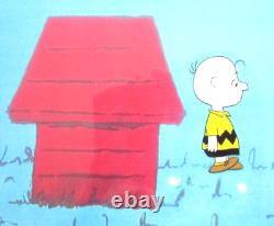 CHARLIE BROWN PEANUTS Charles Schulz ORIGINAL PRODUCTION CEL + DRAWING snoopy