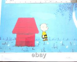 CHARLIE BROWN PEANUTS Charles Schulz ORIGINAL PRODUCTION CEL + DRAWING snoopy