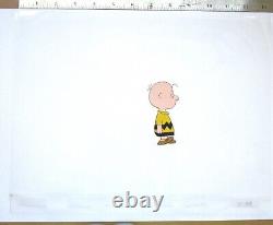 CHARLIE BROWN PEANUTS Charles Schulz ORIGINAL PRODUCTION CEL + DRAWING snoopy