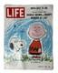 Charles Schulz Signed Life Magazine, Charlie Brown & Snoopy On 1967