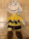 Charlie Brown Hawaii Limited Stuffed Toy Snoopy