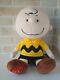 Charlie Brown Plush Toy Universal Studios Japan Limited Snoopy Japan