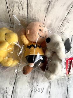 Charlie Brown Snoopy Woodstock Plush toy 3pcs PEANUTS Plush toy ASONDE Sekiguchi