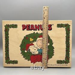 Crate PEANUTS Kurt Adler Polonaise SNOOPY CHARLIE BROWN Glass XMAS ORNAMENT SET