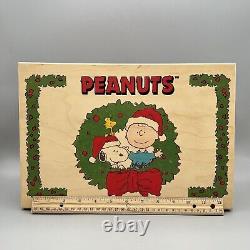 Crate PEANUTS Kurt Adler Polonaise SNOOPY CHARLIE BROWN Glass XMAS ORNAMENT SET