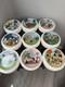 Danbury Mint Snoopy Collector Plates