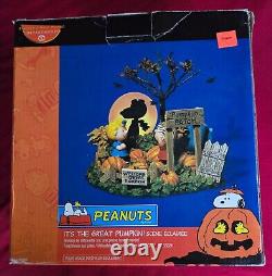 Dept 56 Peanuts Great Pumpkin Charlie Brown Light Up Scene #56.59095 Linus/Sally