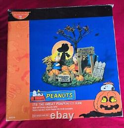 Dept 56 Peanuts Great Pumpkin Charlie Brown Light Up Scene #56.59095 Linus/Sally