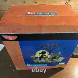 Dept 56 The Great Pumpkin Charlie Brown! Peanuts Halloween Figurine Lit Video