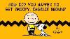 How Did You Happen To Get Snoopy Charlie Brown A Peanuts Cartoon