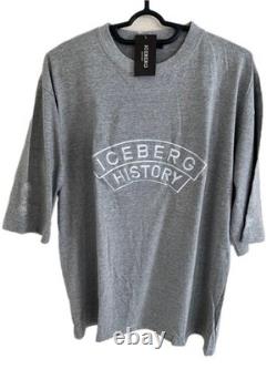 ICEBERG Snoopy Charlie Brown T-Shirt Gray Embroidered Logo Large Size LL