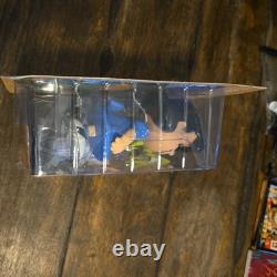 Its The Great Pumpkin Charlie Brown Snoopy And Woodstock Lucy Linus Van Pelt Set