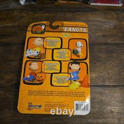 Its The Great Pumpkin Charlie Brown Snoopy And Woodstock Lucy Linus Van Pelt Set