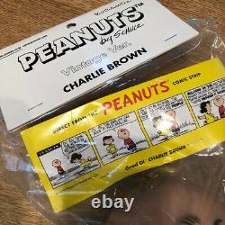 Medicom Toy Charlie Brown Charly Snoopy Soft Vinyl Shipping From Japan Rare Item