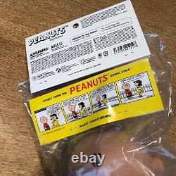 Medicom Toy Charlie Brown Charly Snoopy Soft Vinyl Shipping From Japan Rare Item