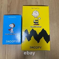 Medicom Toy Peanuts Snoopy Snoopy & Charlie Brown From Japan Pre-owned in Stock