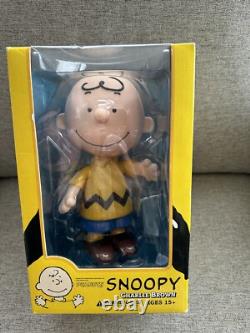 NIB Charlie Brown Snoopy We Love Peanuts Medicom Toy Collectible Doll VCD