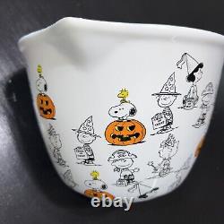 New Peanuts Charlie Brown Snoopy Bakeware Ceramic Cookware Lot Bowl Hand Towel