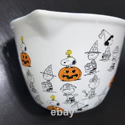 New Peanuts Charlie Brown Snoopy Bakeware Ceramic Cookware Lot Bowl Hand Towel