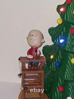 Peanuts Animated Charlie Brown Decorating Christmas Tree 2015 RARE VIDEO