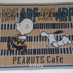Peanuts Cafe Snoopy & Charlie Brown Plush Throw Blanket Rug Multi Cover