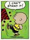 Peanuts Can't Stand It Charles Schulz Charlie Brown/snoopy Print/poster Mondo