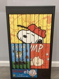 Peanuts Charlie Brown & Snoopy Baseball Animated Art Power Pictures New