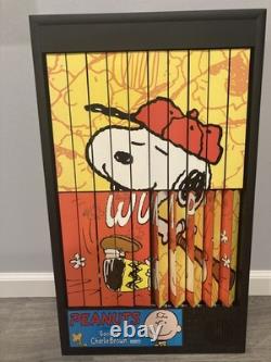 Peanuts Charlie Brown & Snoopy Baseball Animated Art Power Pictures New