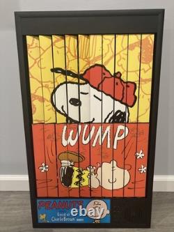 Peanuts Charlie Brown & Snoopy Baseball Animated Art Power Pictures New