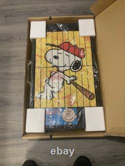 Peanuts Charlie Brown & Snoopy Baseball Animated Art Power Pictures New