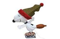 Peanuts Gang Ice Skating 32 3D LED A Charlie Brown Christmas Decor