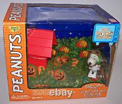 Peanuts It's The Great Pumpkin Charlie Brown Snoopy World War One Flying Ace