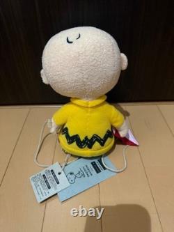 Peanuts SNOOPY & Charlie Brown Plush Toy, Collectible, Used