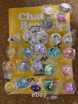 Peanuts Snoopy Charlie Brown Lucy Linus Pin Badge Acrylic Keychain Masking Tape