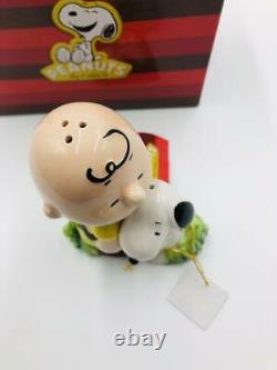 Peanuts Snoopy Charlie Brown Seasoning