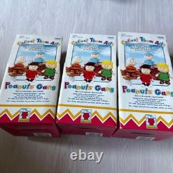 Peanuts Snoopy Plush Toy Set Charlie Brown Lucy Sally Brown Vintage 3pcs