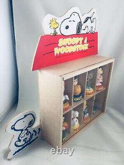 Peanuts Snoopy & Woodstock 8 figurine wall decor display case. Charlie Brown