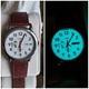 Peanuts Timex Charlie Brown Snoopy Scout On Expedition Watch 35.5mm New Battery