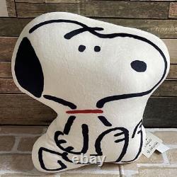 Peanuts Yu Nagaba Snoopy Charlie Brown Cushion JGB25