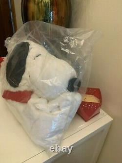 Pottery barn halloween snoopy costume peanuts charlie brown holiday gift boy 4-6
