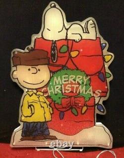 RARE Merry Christmas Peanuts Snoopy Charlie Brown Light Wreath Yard Art Decor