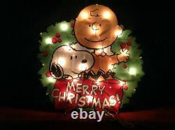 RARE Merry Christmas Snoopy Peanuts Charlie Brown Wreath Light Yard Art Decor