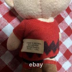 Retro Snoopy Charlie Brown Plush Keychain