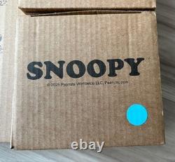 Snoopy Charlie Brown Ceramic Plate Set 2 Large Cafe Cups Character Kitchenware